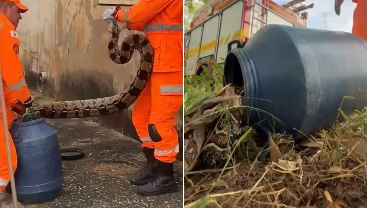 Acontecimentos em Valadares: Jiboia, Prefeito Investigado, Acidente de Carro