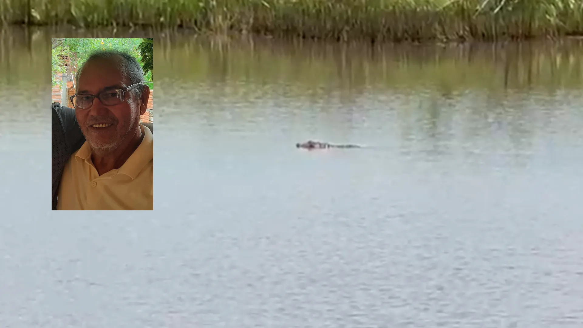 Açude rural, habitat de jacarés, local de ataque de animal a aposentado em Sud Mennucci