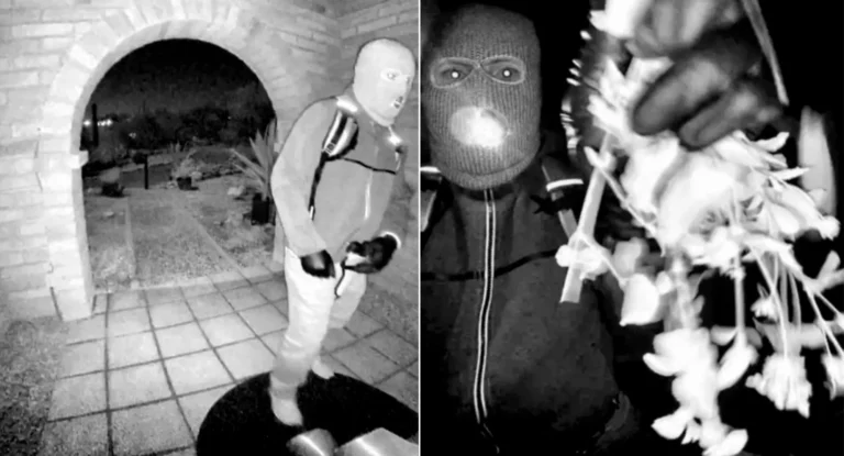 Savannah Guthrie emocionada em entrevista sobre mãe desaparecida