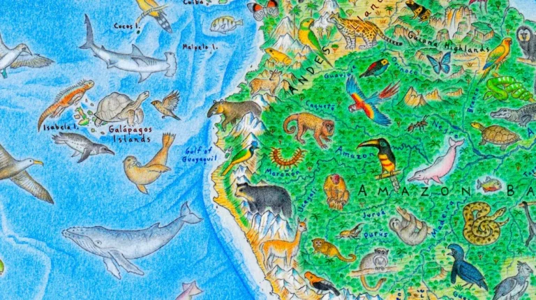 Mapa do mundo com animais selvagens desenhado por Anton Thomas