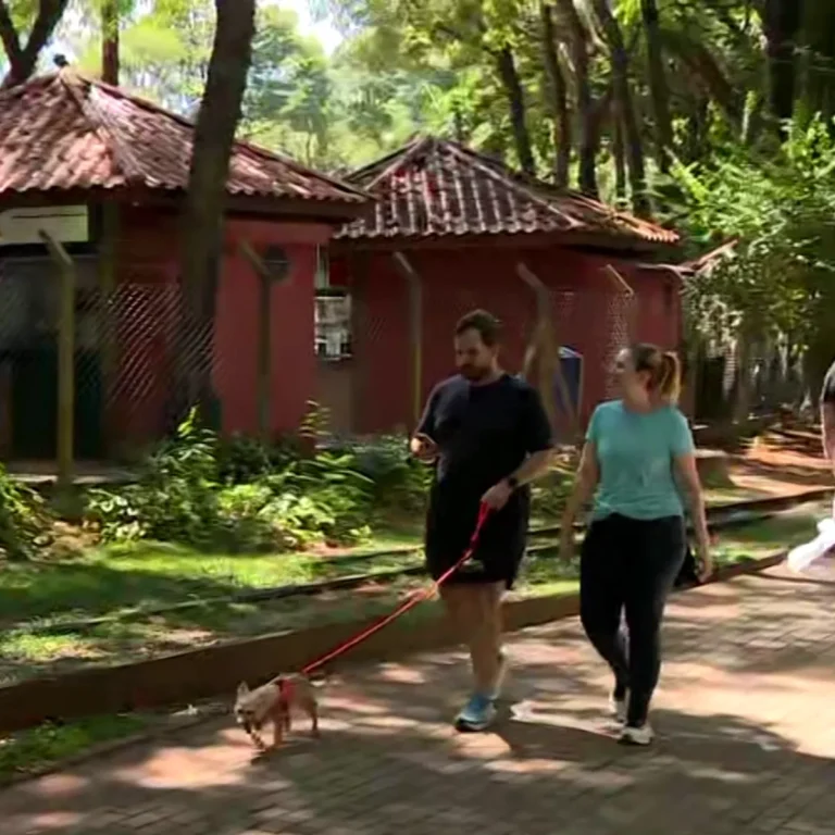 Homem com cachorro em parque de Campinas