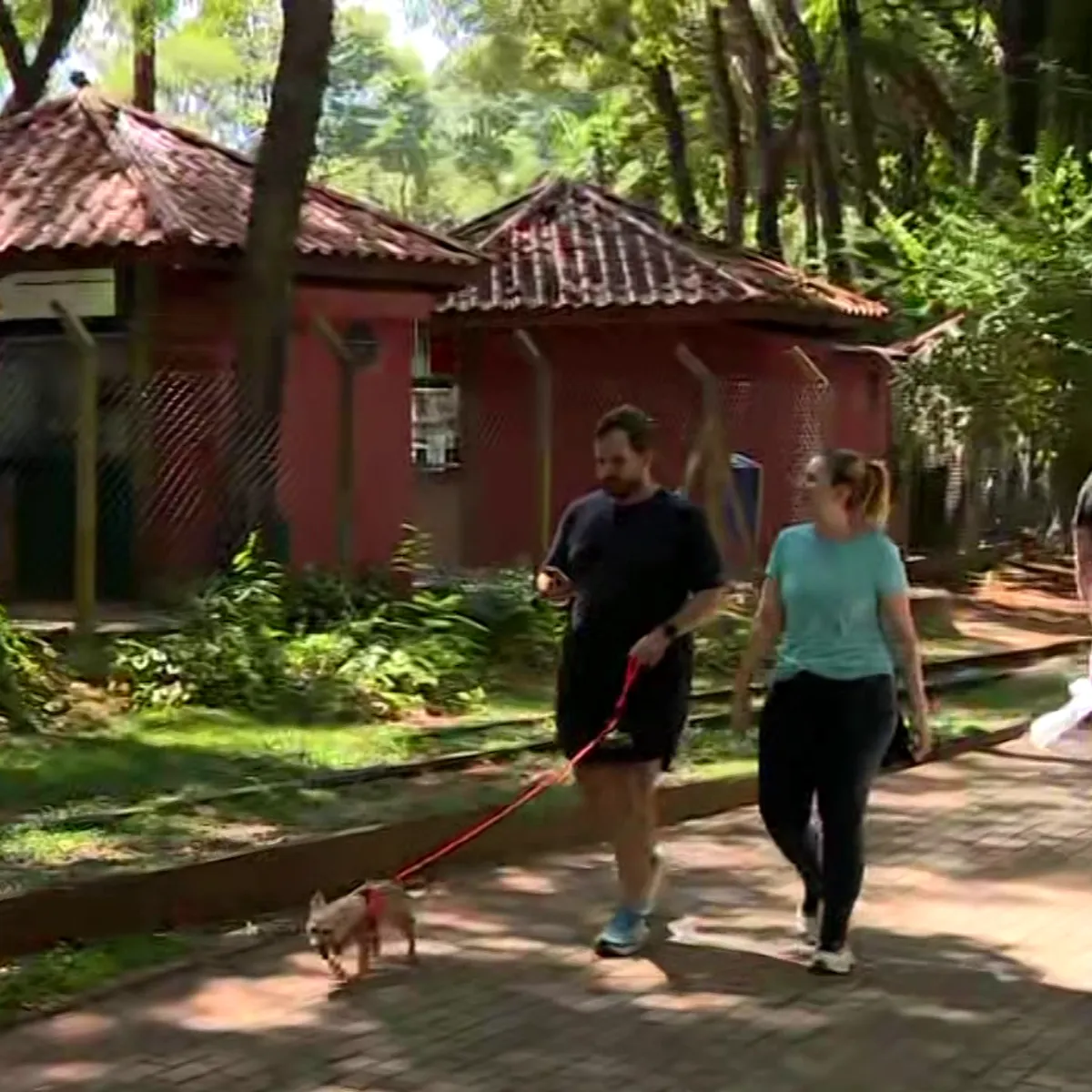 Homem com cachorro em parque de Campinas