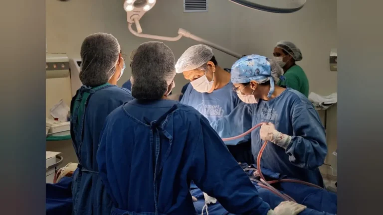 Mão humana segurando órgão, símbolo de xenotransplante e esperança médica.