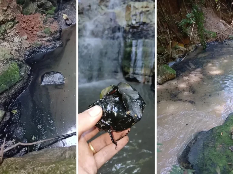 Córrego Bertini poluído por descarte de material oleoso em Americana, investigação Cetesb, poluição ambiental.