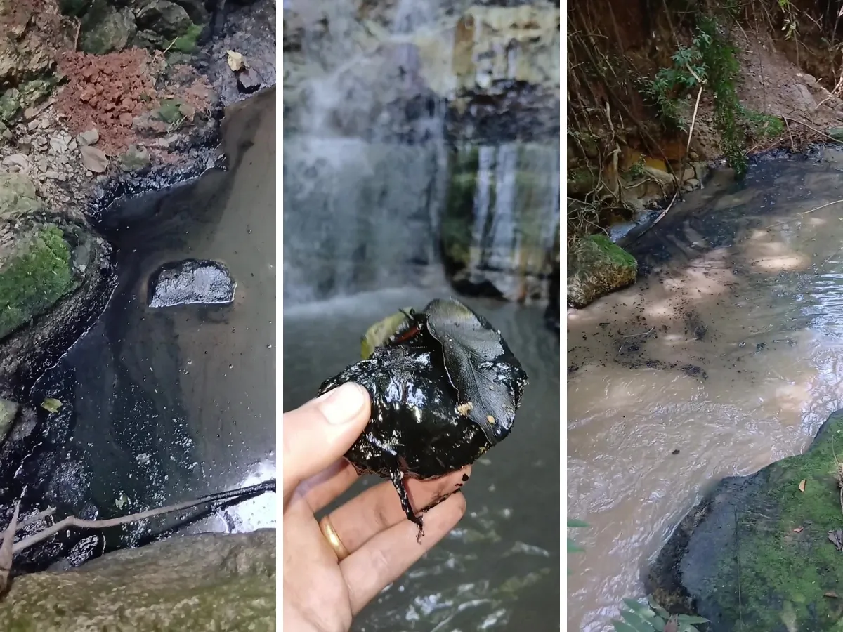 Córrego Bertini poluído por descarte de material oleoso em Americana, investigação Cetesb, poluição ambiental.