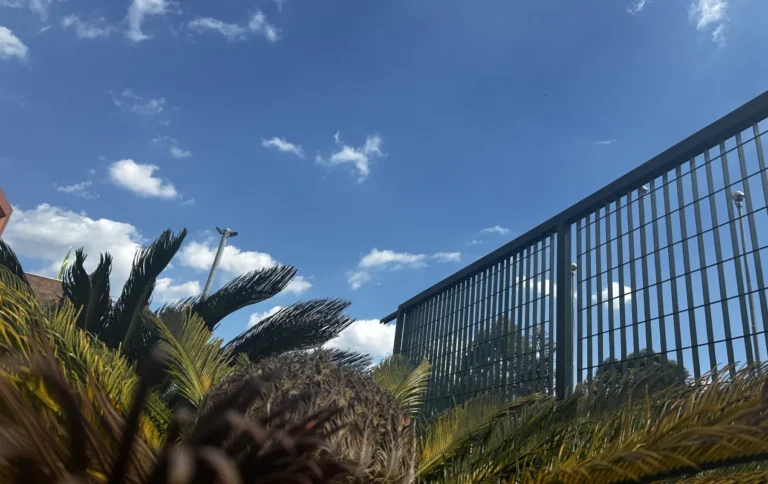 Paisagem do outono seco em SP com sol e pouca vegetação