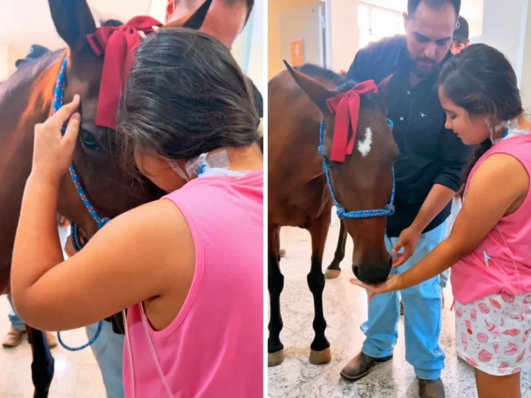 Criança sorrindo ao acariciar rottweiler em hospital; menina fazendo carinho em égua dentro do hospital