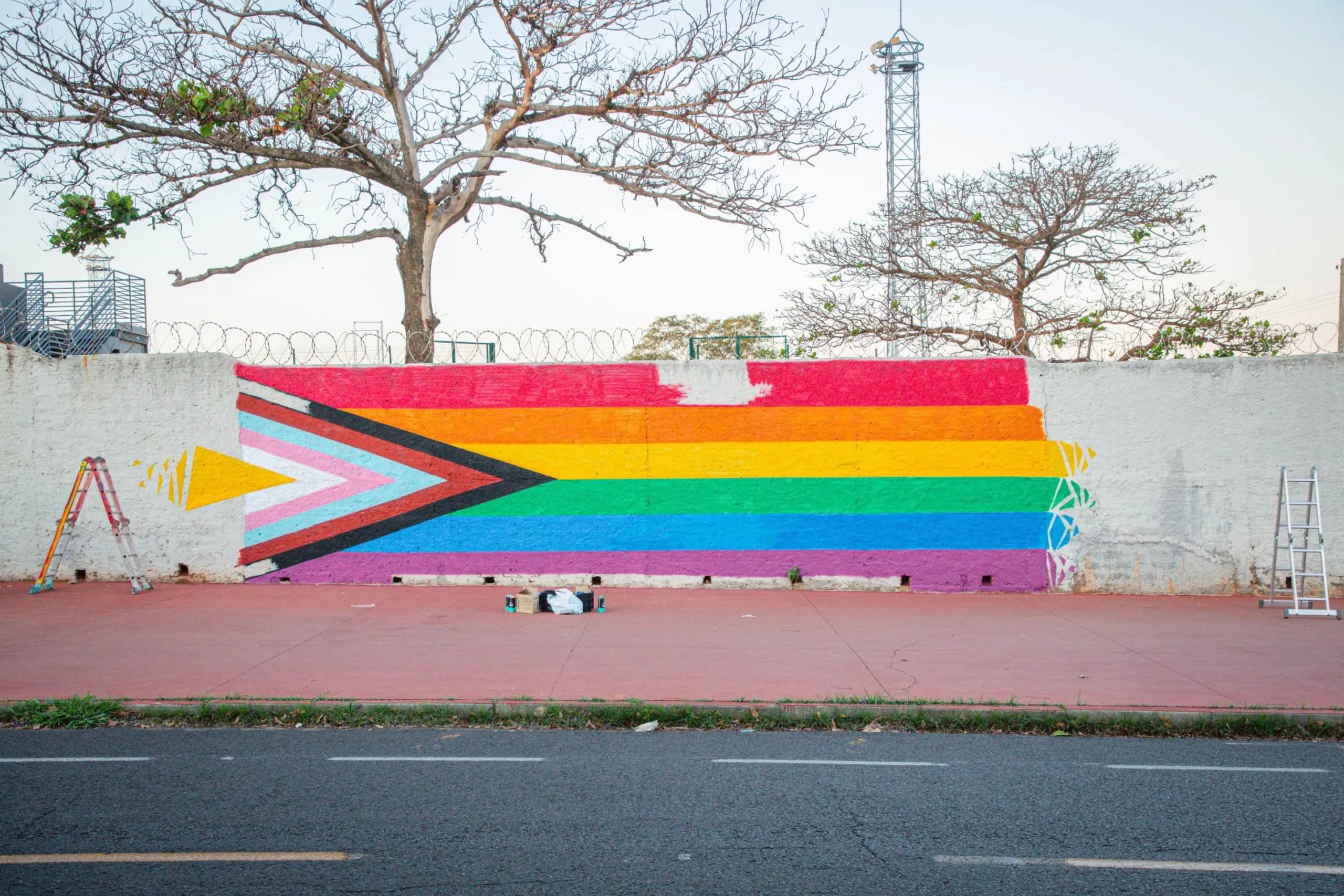 Grafiteiro Lino.96 em Rio Preto pintando mural abstrato