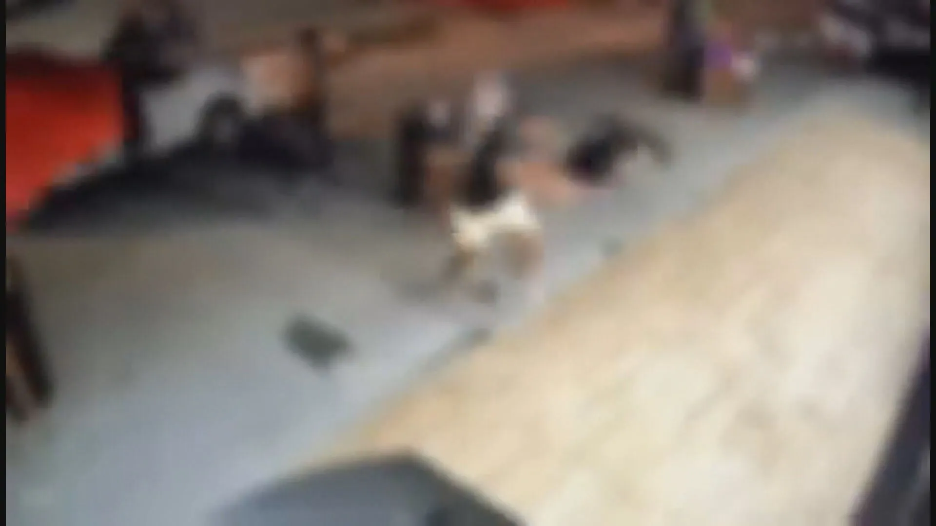 Policiais investigando assassinato em Japeri na Baixada Fluminense