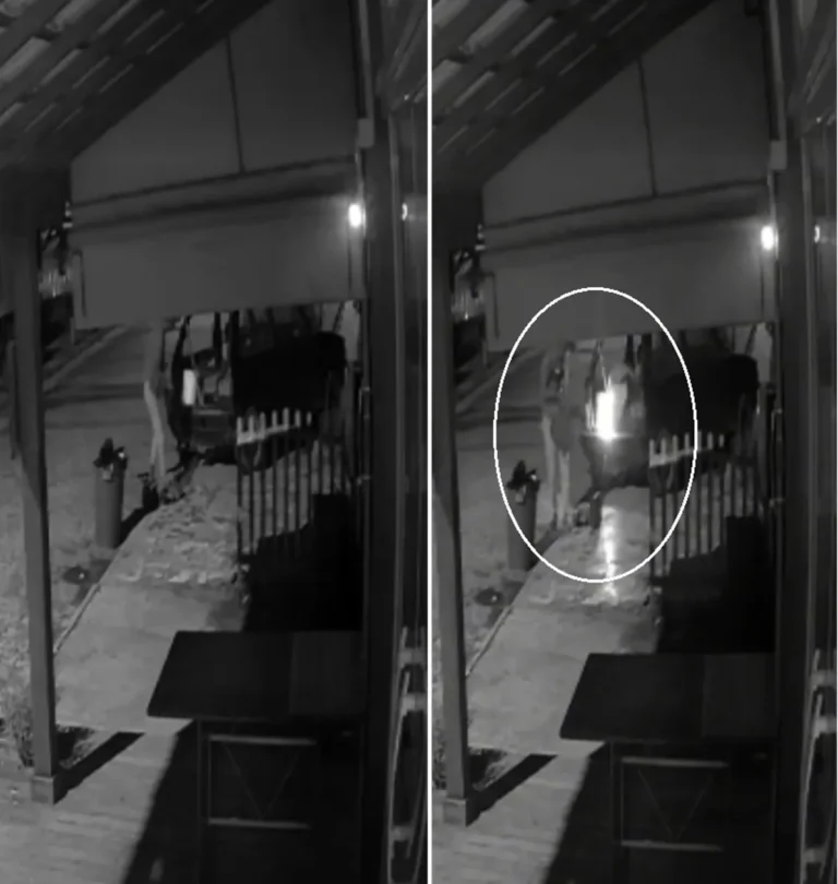 Homem detido pela polícia em Saquarema perto de carro queimado e ferramentas furtadas