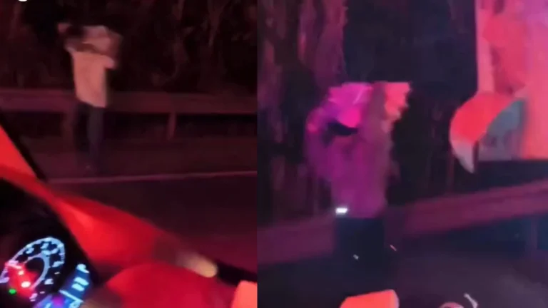 Carga de whisky sendo saqueada após acidente de caminhão na BR-101