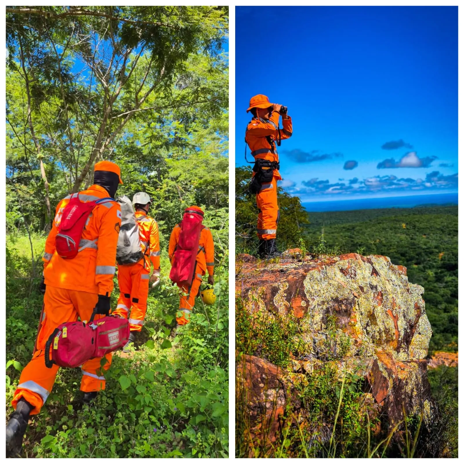 Floresta densa em Pedras de Maria da Cruz, local de encontro de idoso desaparecido