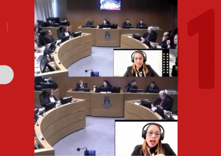 Mulher vítima de violência doméstica e pensão alimentícia