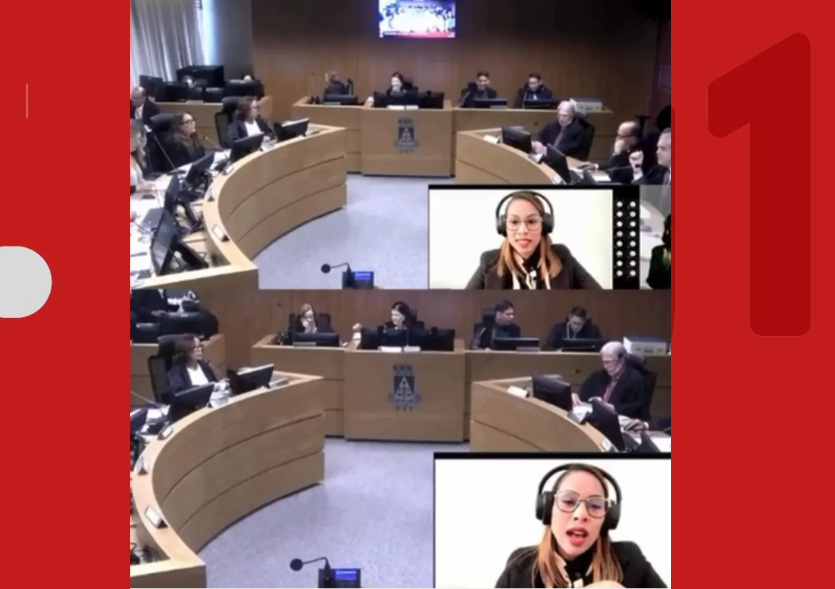 Mulher vítima de violência doméstica e pensão alimentícia