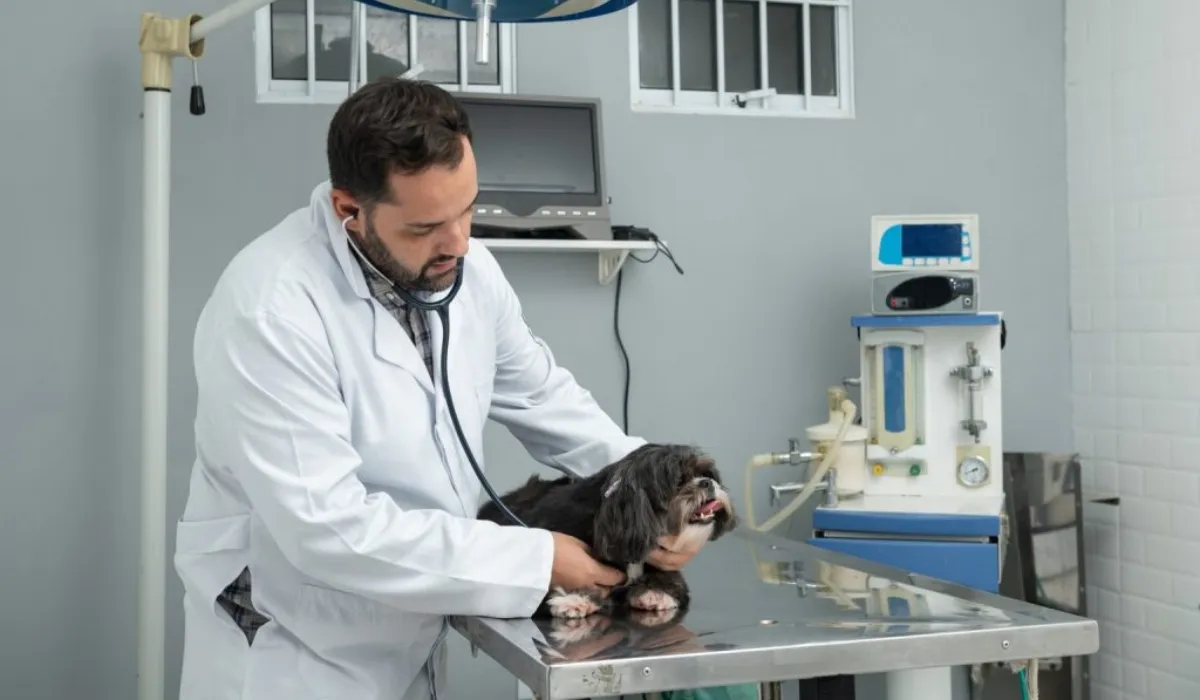 Clínica veterinária móvel para castração gratuita de pets no Oeste Paulista