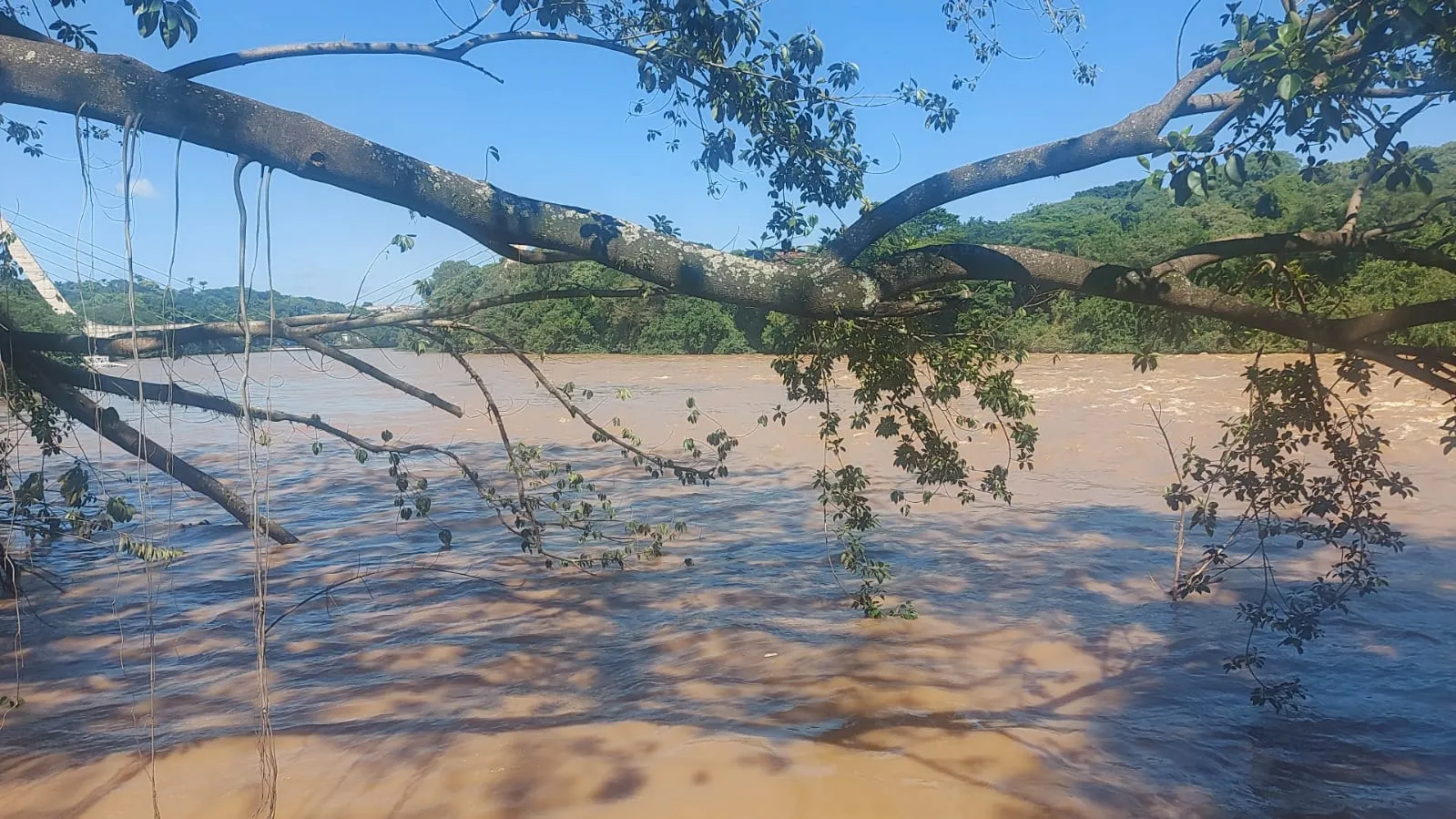 Imagem do Clima em Piracicaba mostrando sol e chuva