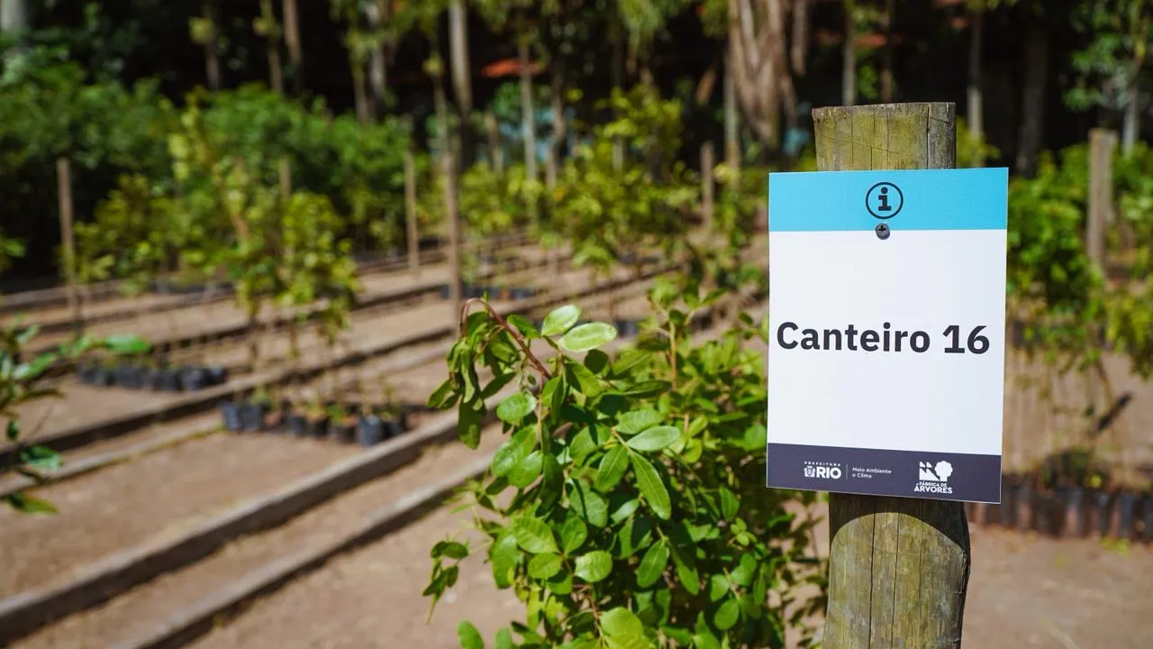 Viveiro da Fábrica de Árvores do Rio com mudas nativas da Mata Atlântica e nova câmara fria.