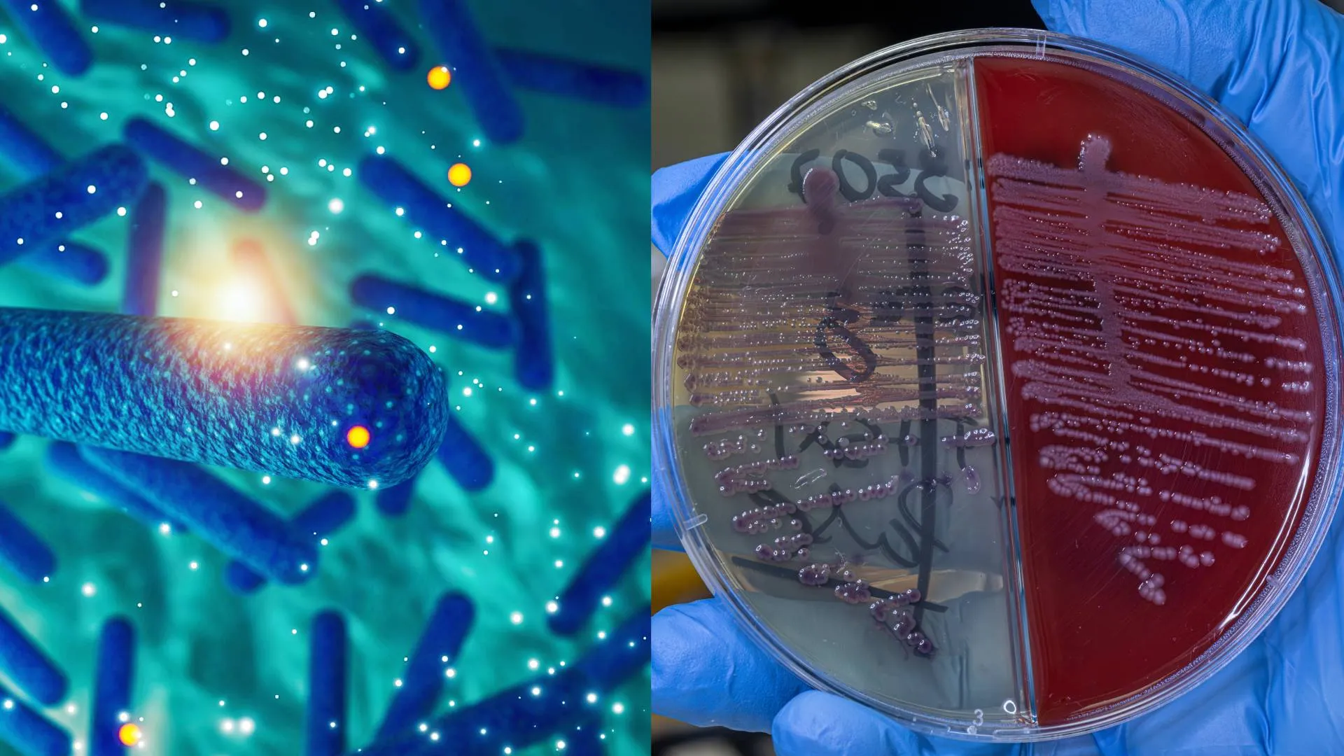 Pessoa lavando as mãos para evitar intoxicação alimentar