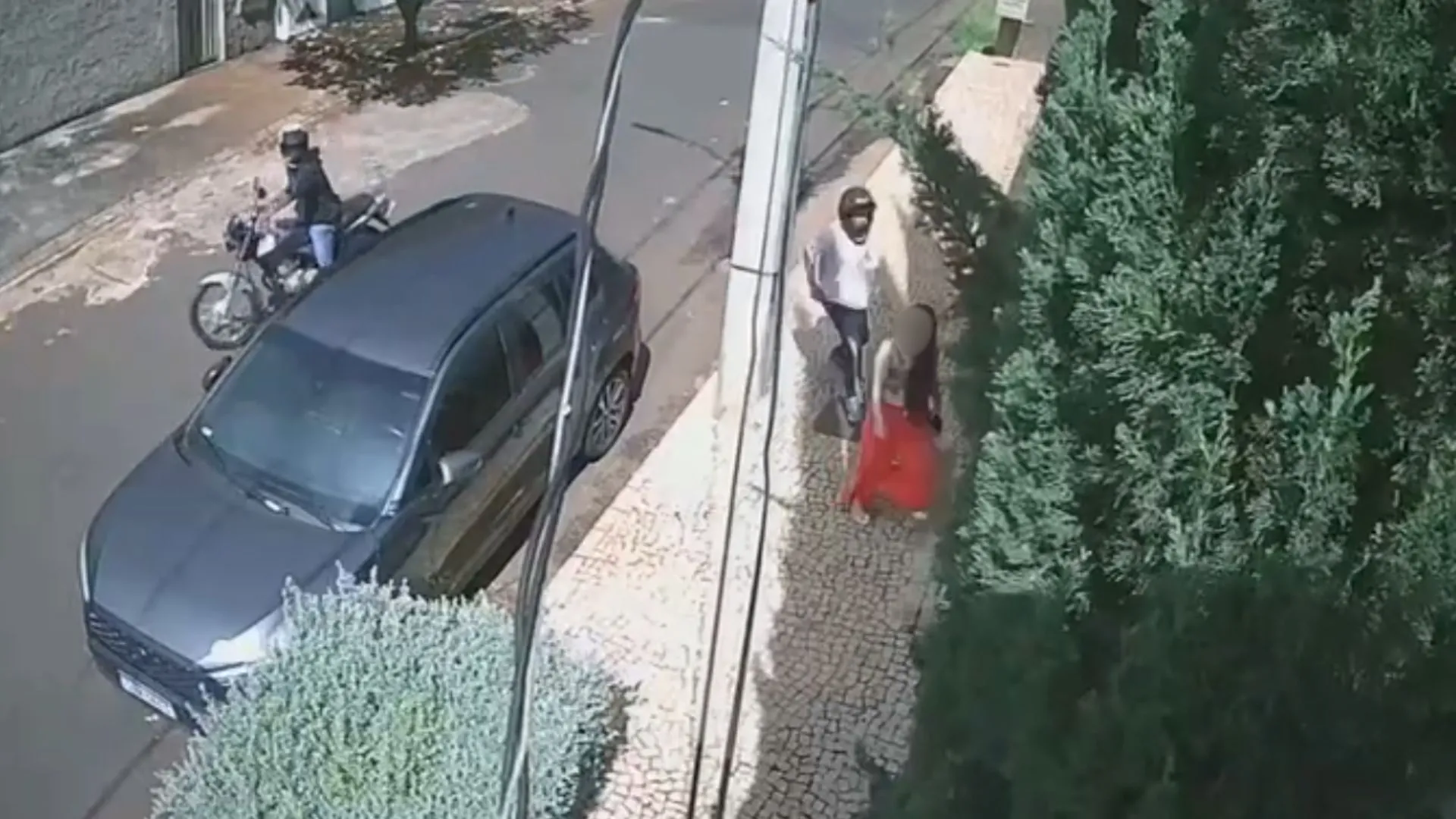 Veterinária em Uberlândia, assalto, roubo de carro, equipamentos veterinários roubados