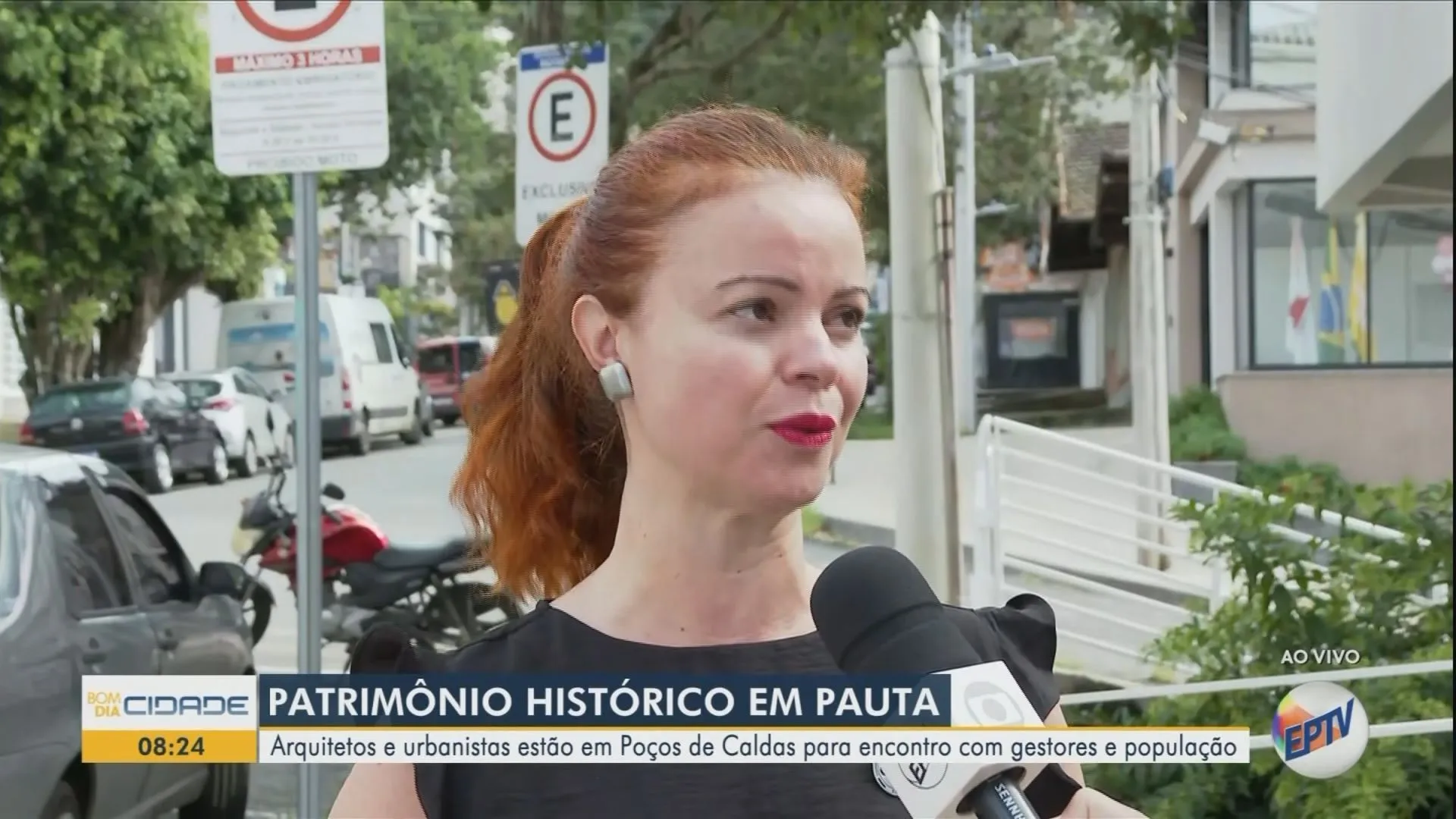 Paisagem rural do Sul de Minas Gerais com cafezais e montanhas