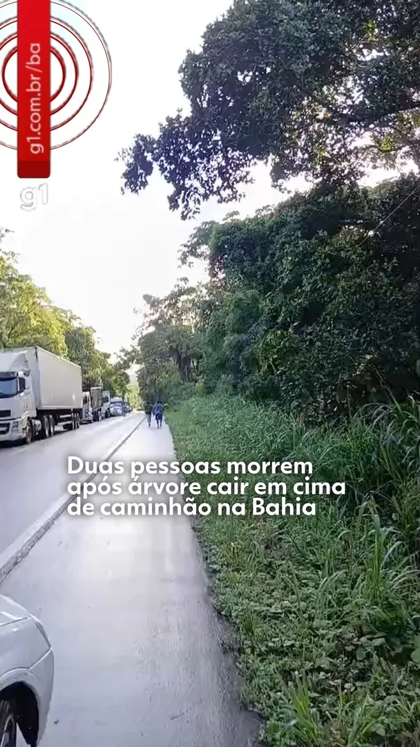 Grupo de pessoas lendo notícias da Bahia em seus celulares em Salvador