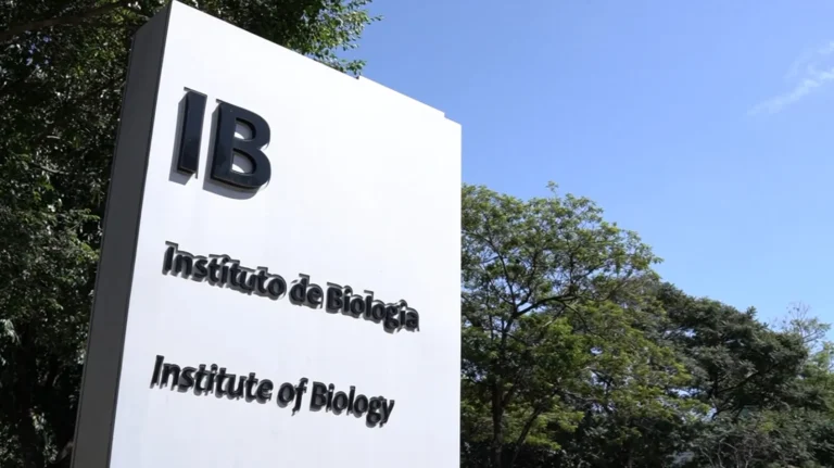 Laboratório Unicamp, amostras H1N1, furto de vírus, biossegurança, pesquisa científica