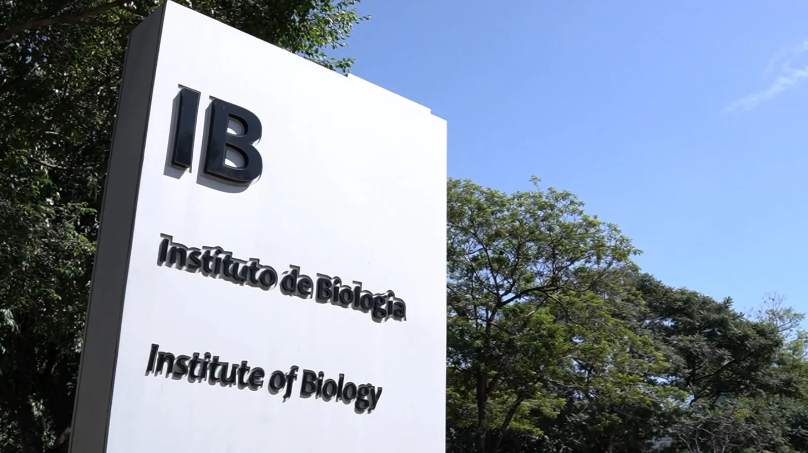 Laboratório Unicamp, amostras H1N1, furto de vírus, biossegurança, pesquisa científica