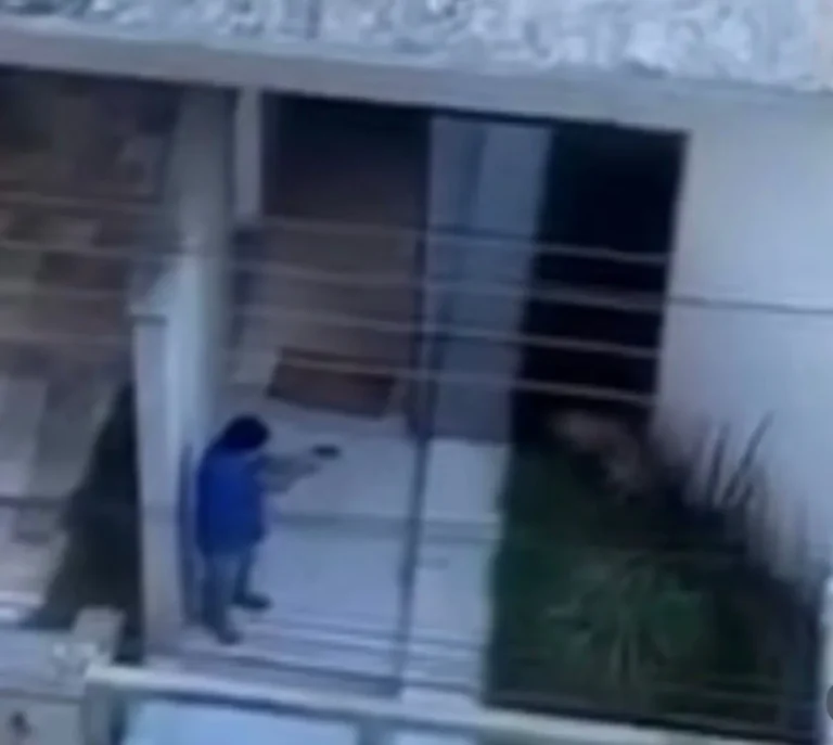 Cachorro morto a tiros, crueldade animal, Pará de Minas, justiça para animais