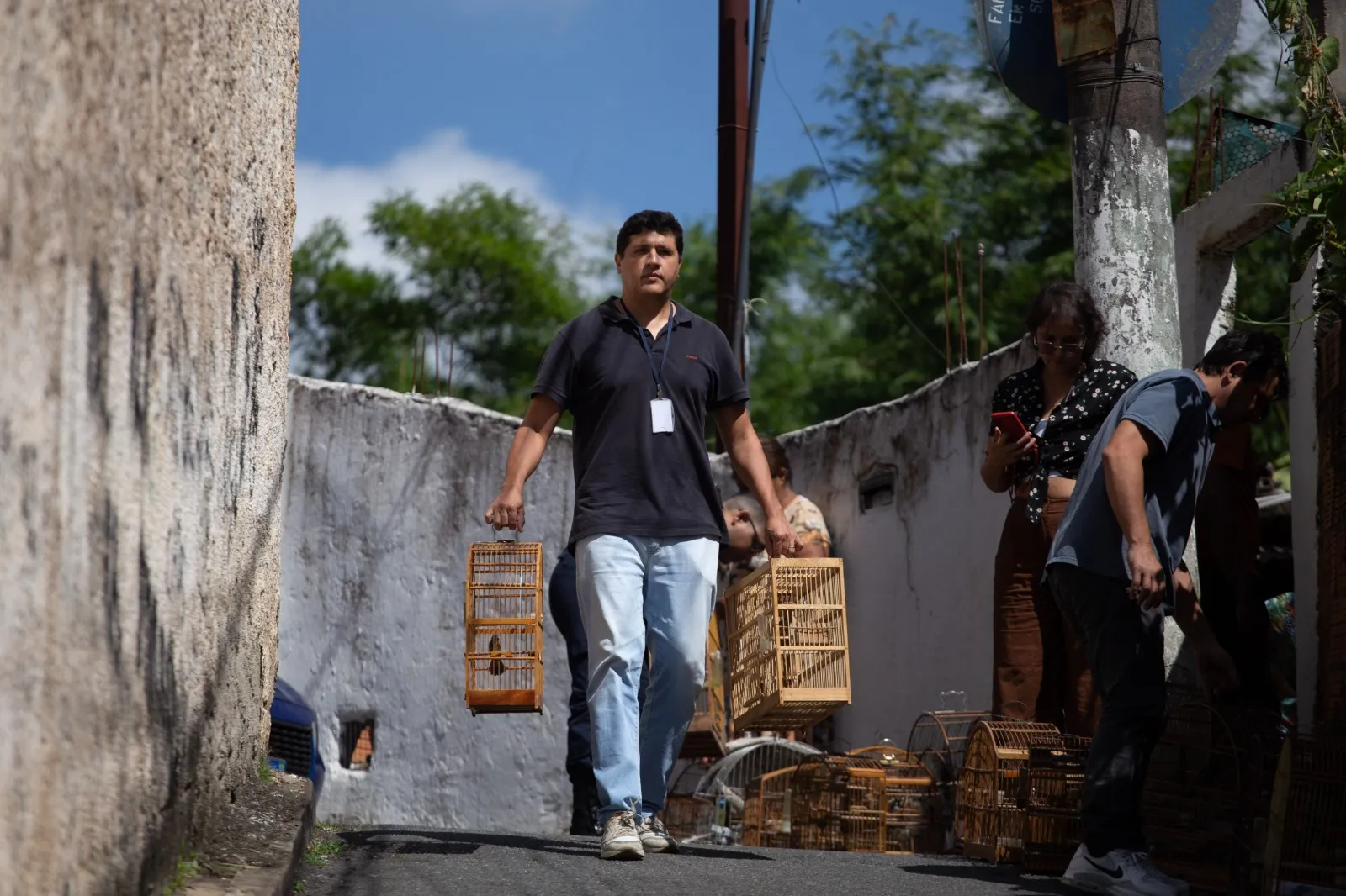 Mão de agente segurando pássaro resgatado durante operação de apreensão de pássaros em Volta Redonda.