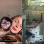 Macaco-prego Claiton, animal de estimação, dentro de uma casa bagunçada em Campinas