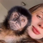 Vitória de Almeida segurando o macaco Claiton, que fugiu em Campinas.