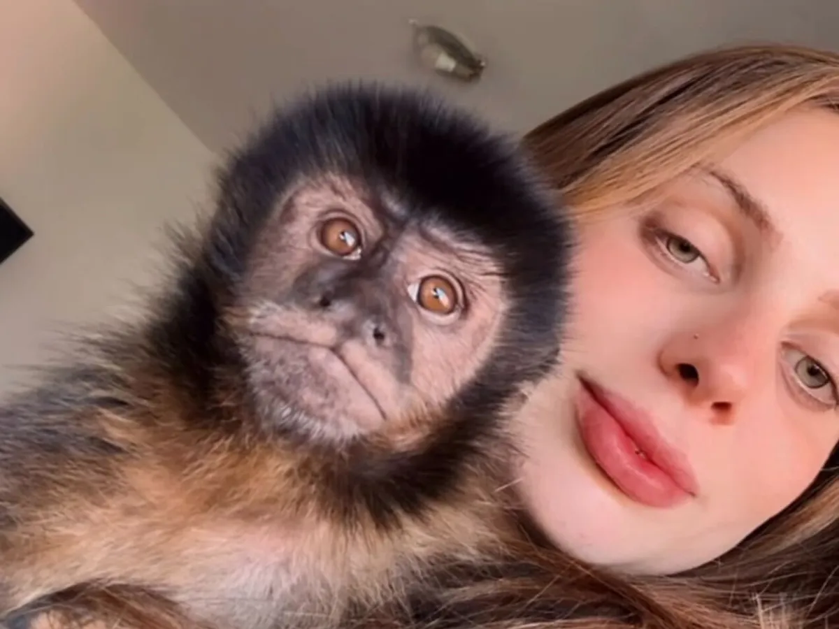 Vitória de Almeida segurando o macaco Claiton, que fugiu em Campinas.