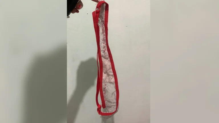 Advogado denuncia delegado, delegado acusado, ofensas em delegacia, caso calcinha delegacia SP