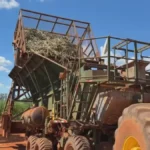 Produtor rural observa colheitadeira de cana em campo, simbolizando a preocupação com a alta do diesel e seus efeitos na safra.