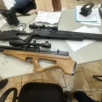 Pato-do-mato (Cairina moschata) em lago, ave nativa protegida por lei