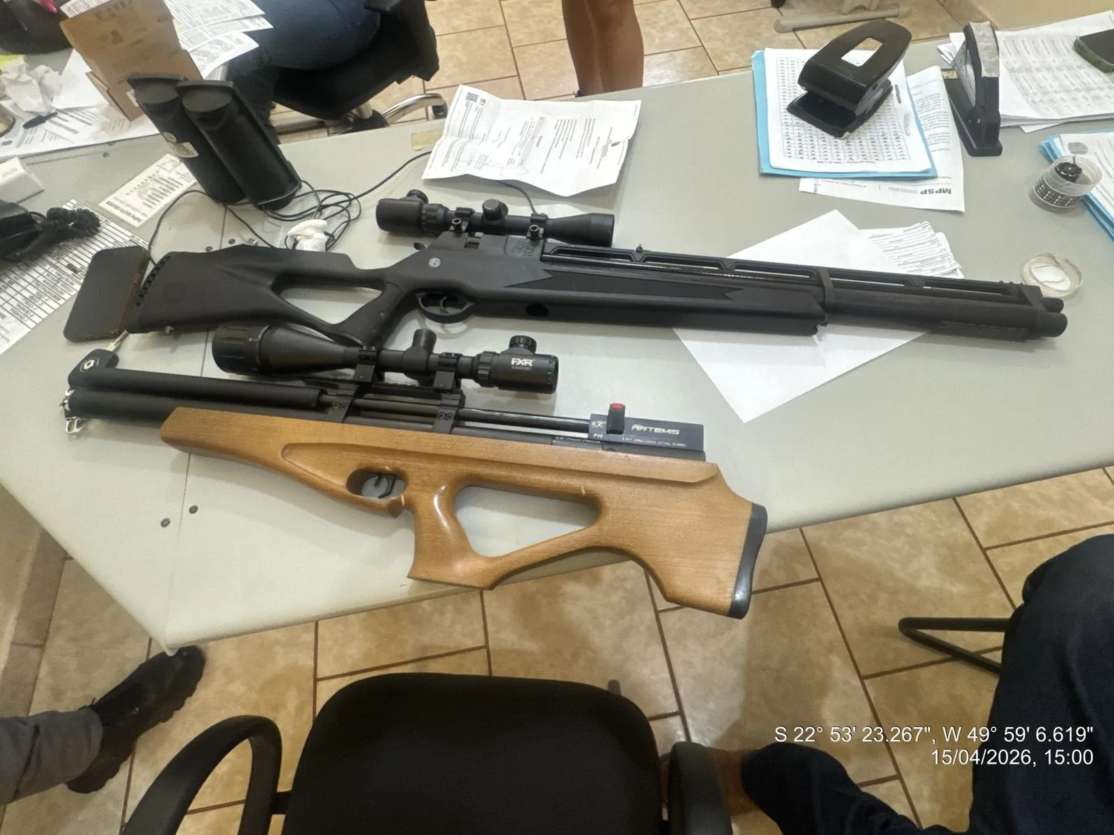 Pato-do-mato (Cairina moschata) em lago, ave nativa protegida por lei