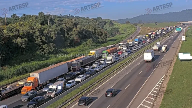 Batida fatal na Castello Branco em Araçariguama