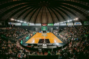Bauru Basket busca virada crucial contra Paulistano no NBB