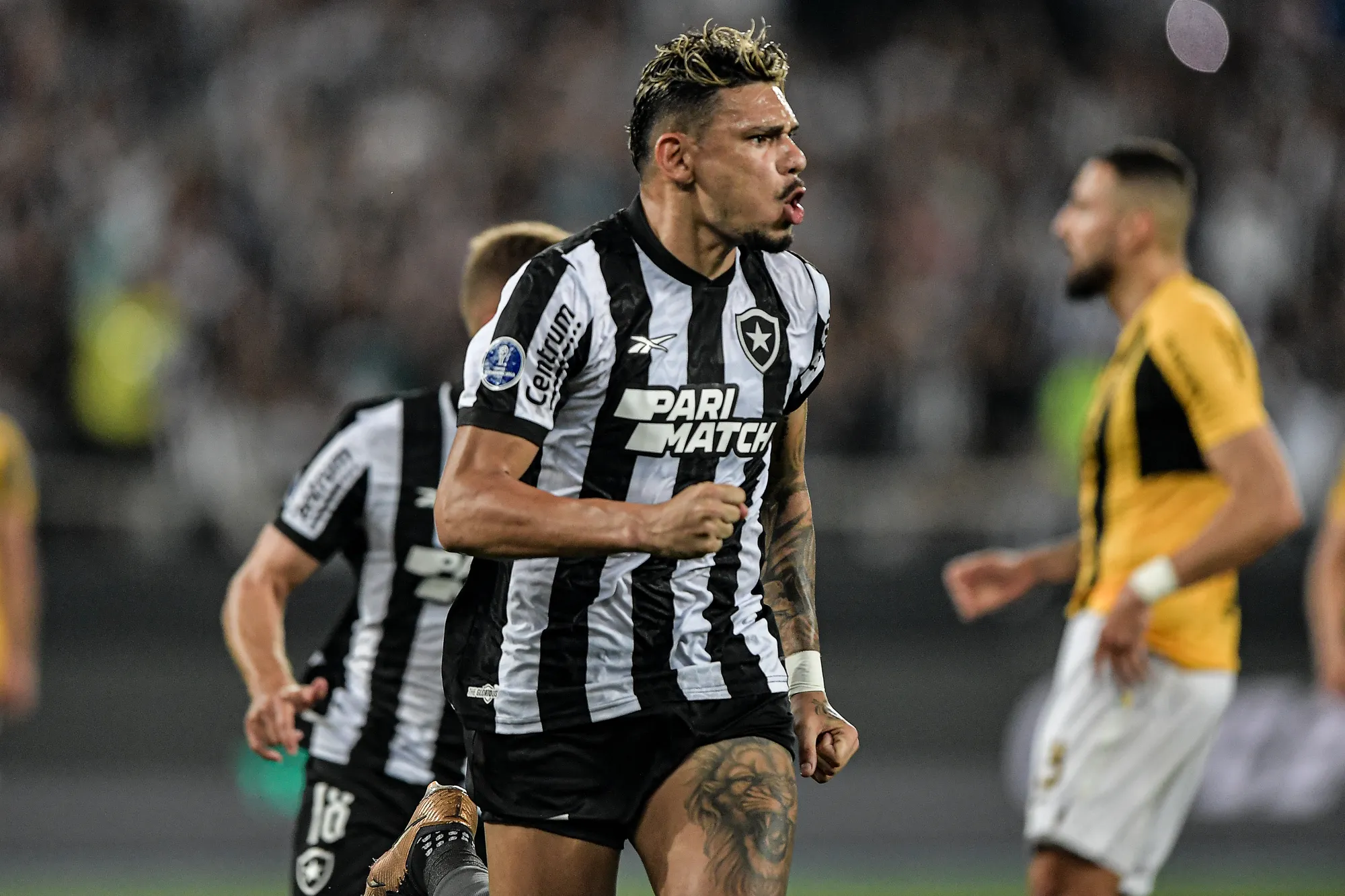 Time do Botafogo jogando na Copa Sul-Americana contra o Caracas no Nilton Santos.