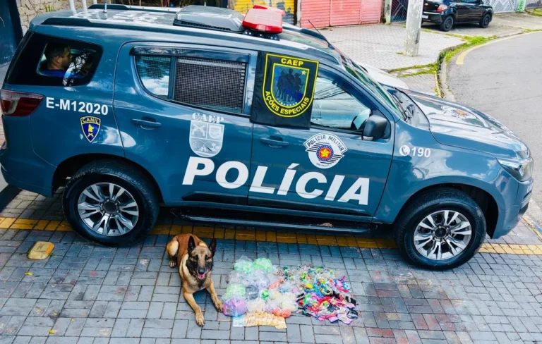 Cão farejador da PM, Draco ou Fuzil, trabalhando em operação policial de combate ao tráfico de drogas em Ferraz de Vasconcelos