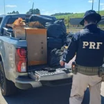 Caminhonete de prefeitura apreendida pela PRF com mercadorias ilegais na Fernão Dias