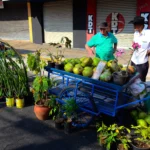 Vendedor ambulante formalizado atende cliente em feira de Presidente Prudente