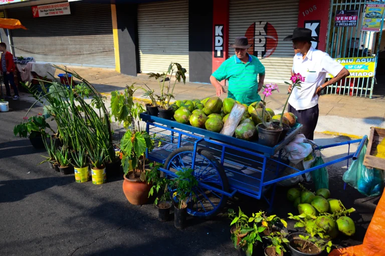Vendedor ambulante formalizado atende cliente em feira de Presidente Prudente