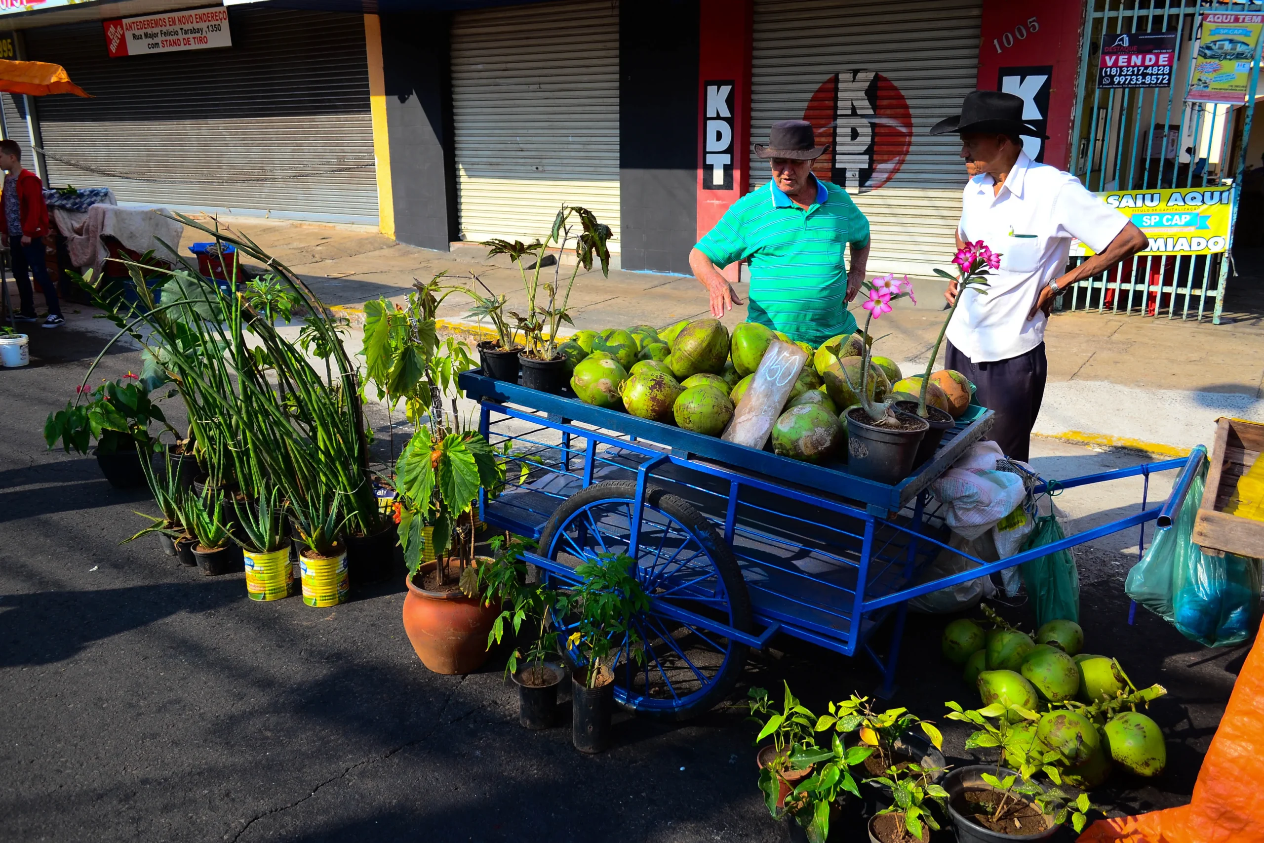 Vendedor ambulante formalizado atende cliente em feira de Presidente Prudente