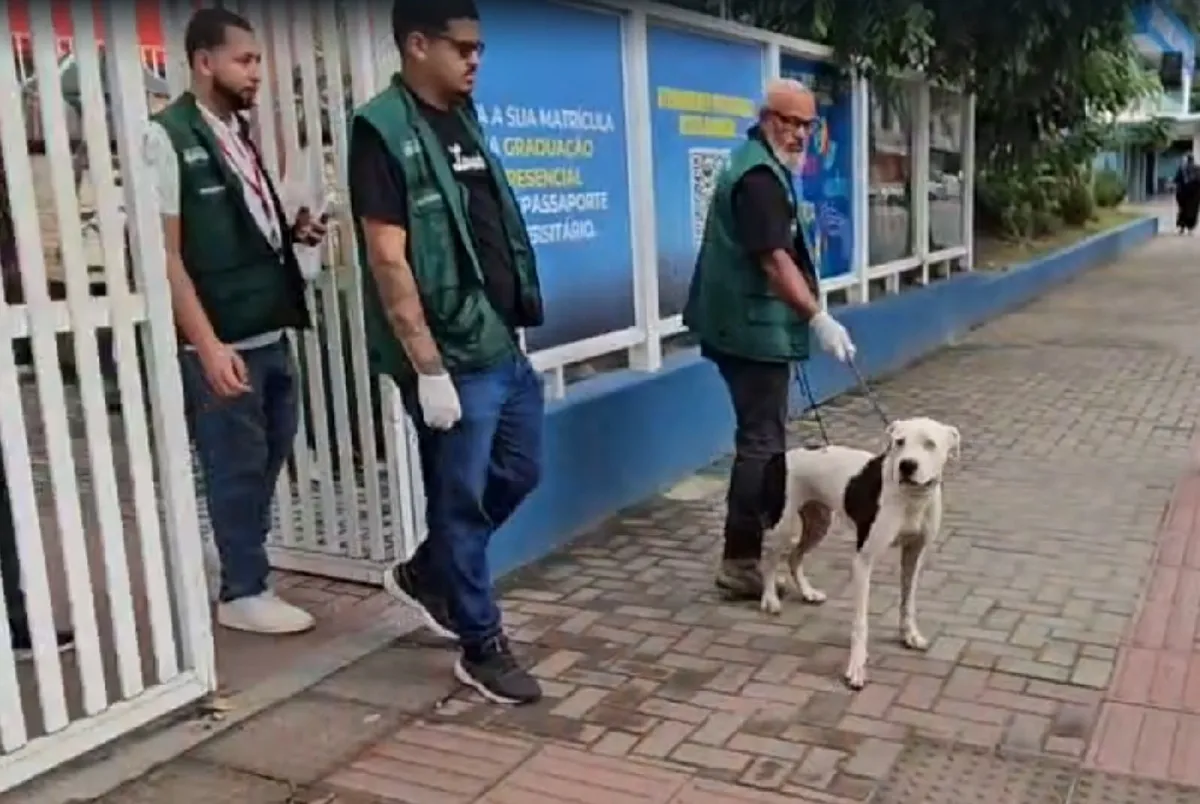 Cão sendo resgatado por oficial em frente a escola após ataque em Maricá.