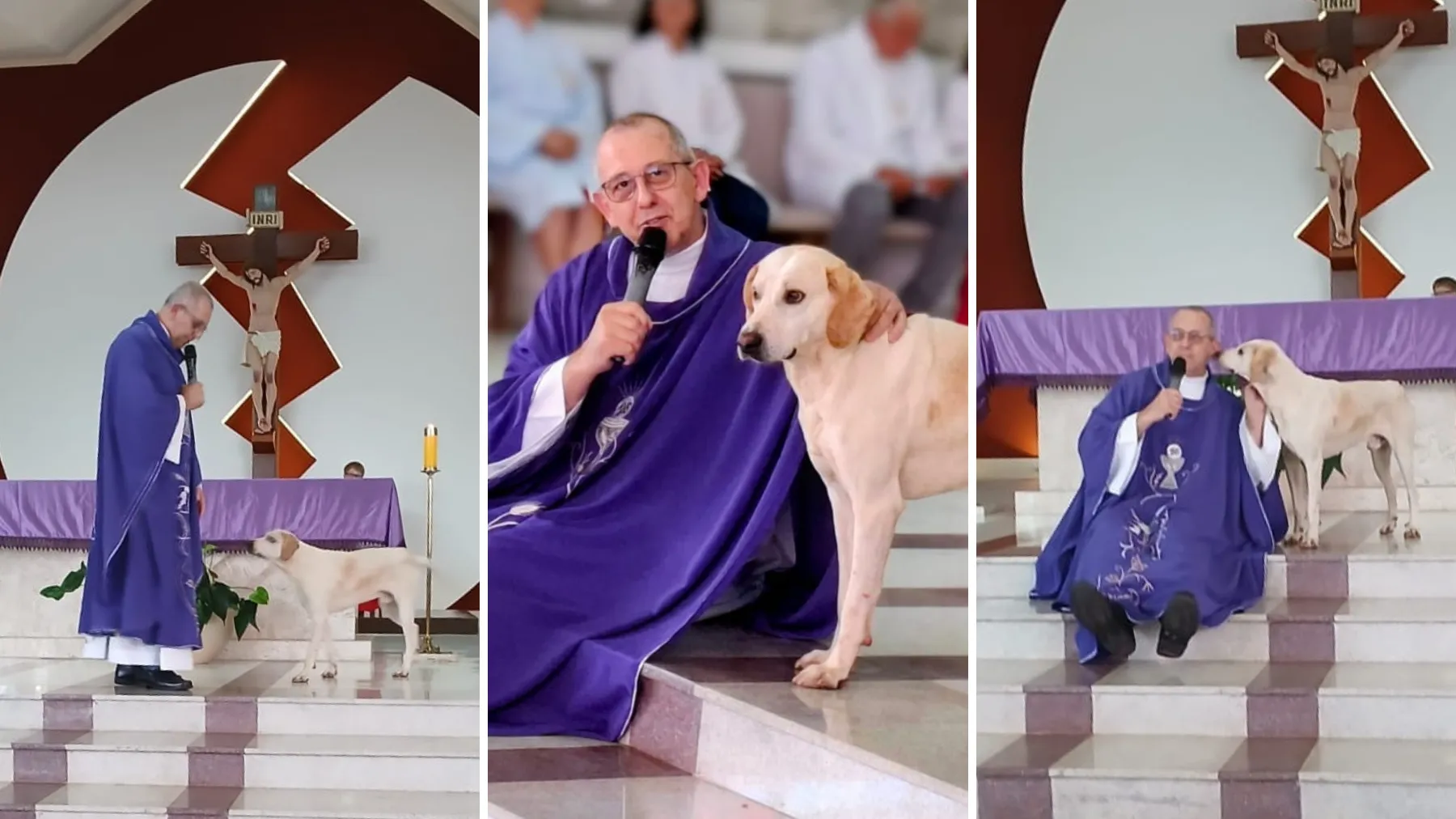 Cachorro Caramelo na igreja com padre no Paraná