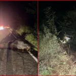 Bombeiros resgatando vítima de carro em ribanceira após batida com animal na MGC-342