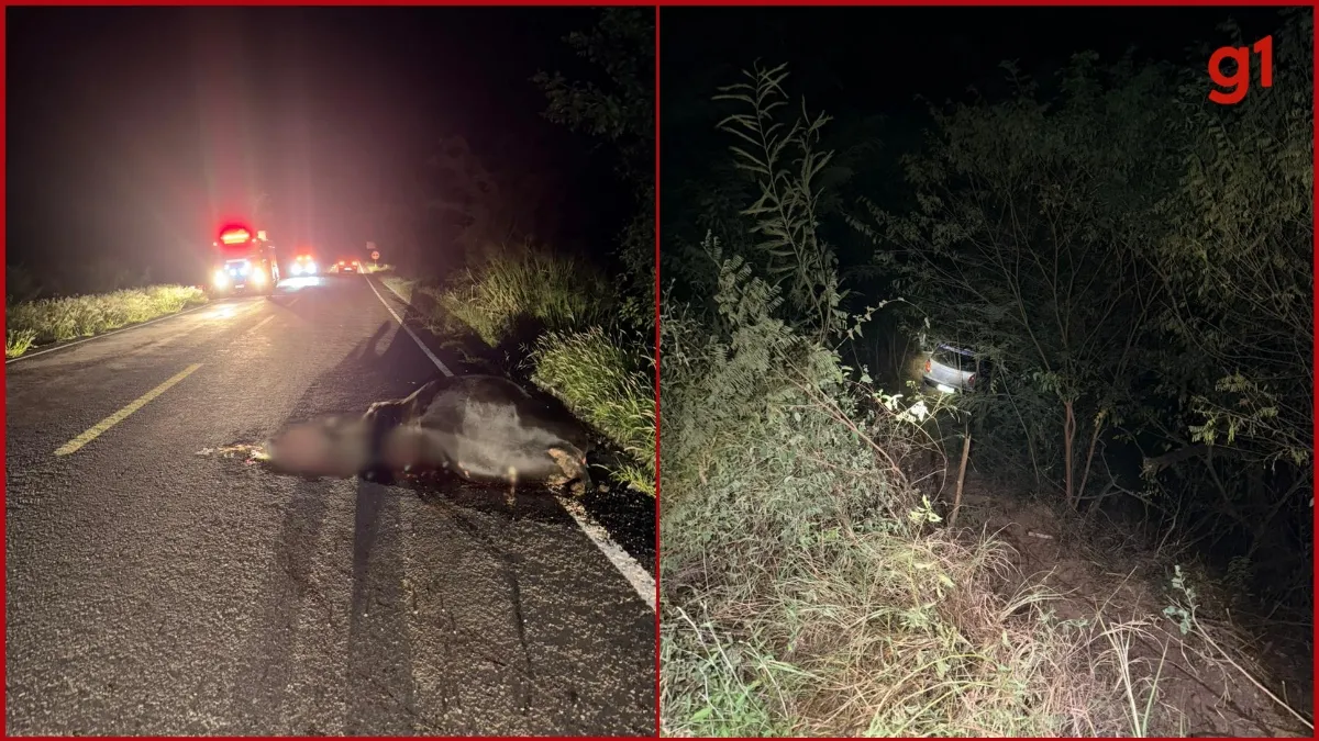 Bombeiros resgatando vítima de carro em ribanceira após batida com animal na MGC-342