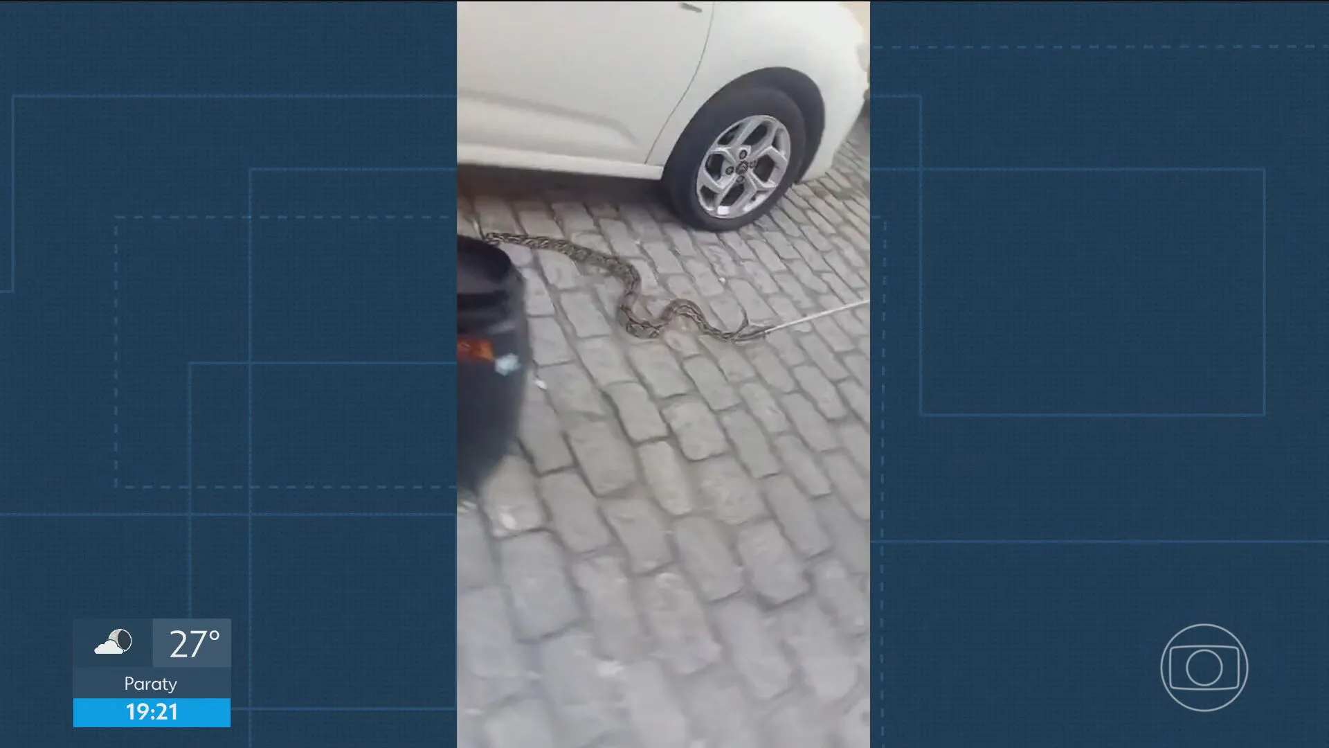 Cobra sendo resgatada por bombeiro em rua do Humaitá, Rio de Janeiro