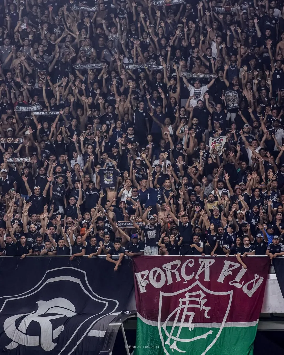 Torcida do Remo comemora público recorde no Estádio Mangueirão